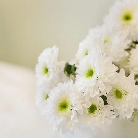 Chesa Ova Cotschna 306 By Interhome Lägenhet *