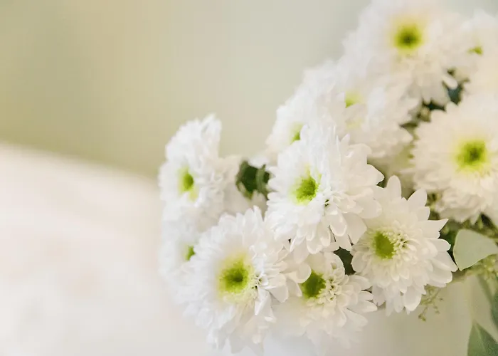 Chesa Ova Cotschna 306 By Interhome Appartement *