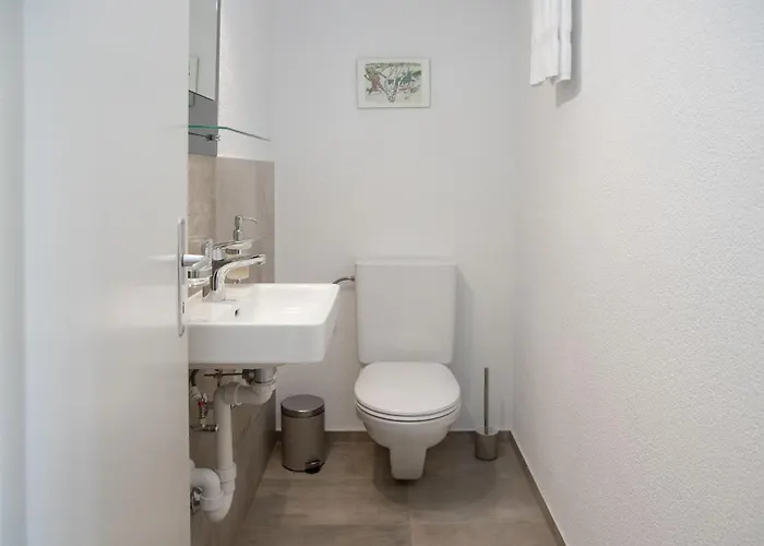 Appartement Chesa Ova Cotschna 306 By Interhome